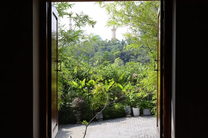 Big windows for natural clean air circulation